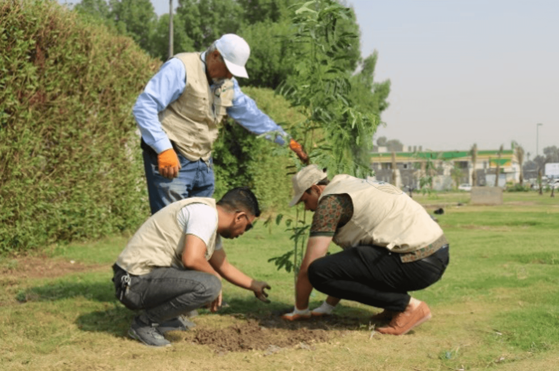 Key Activities of the Million Trees Association in 2024
